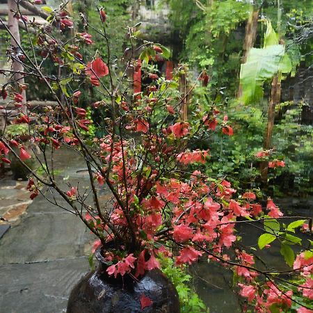 Wuyuan Qiye Yanxiang Guesthouse Dış mekan fotoğraf
