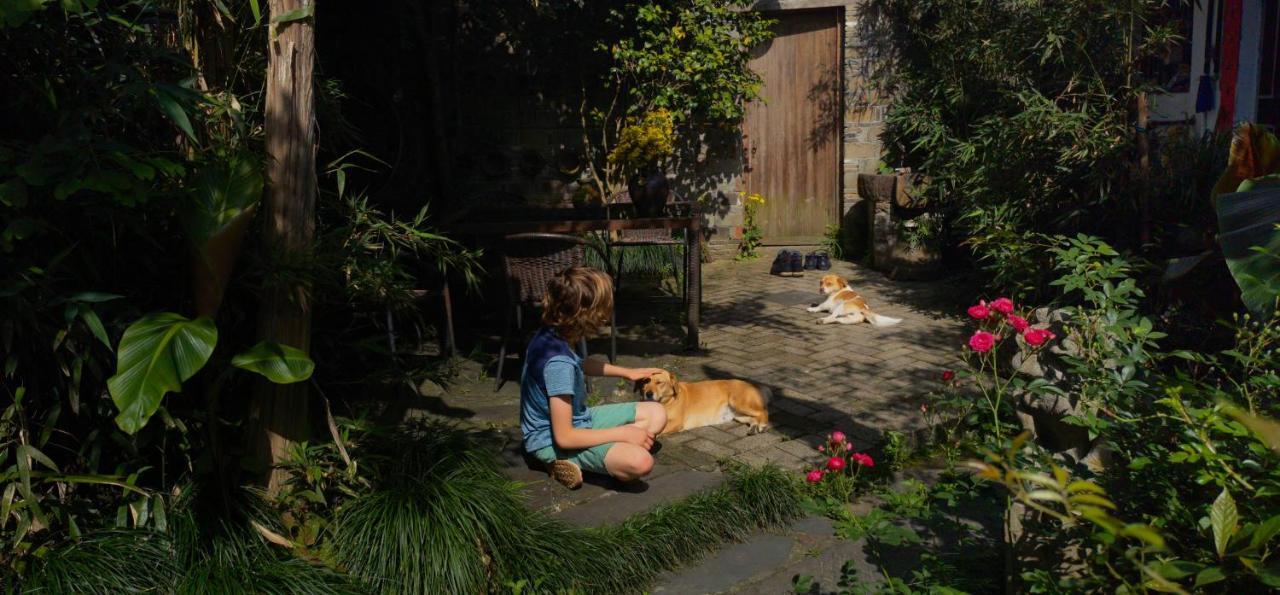 Wuyuan Qiye Yanxiang Guesthouse Dış mekan fotoğraf