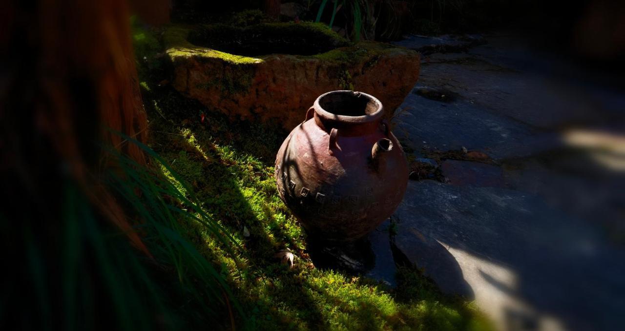 Wuyuan Qiye Yanxiang Guesthouse Dış mekan fotoğraf